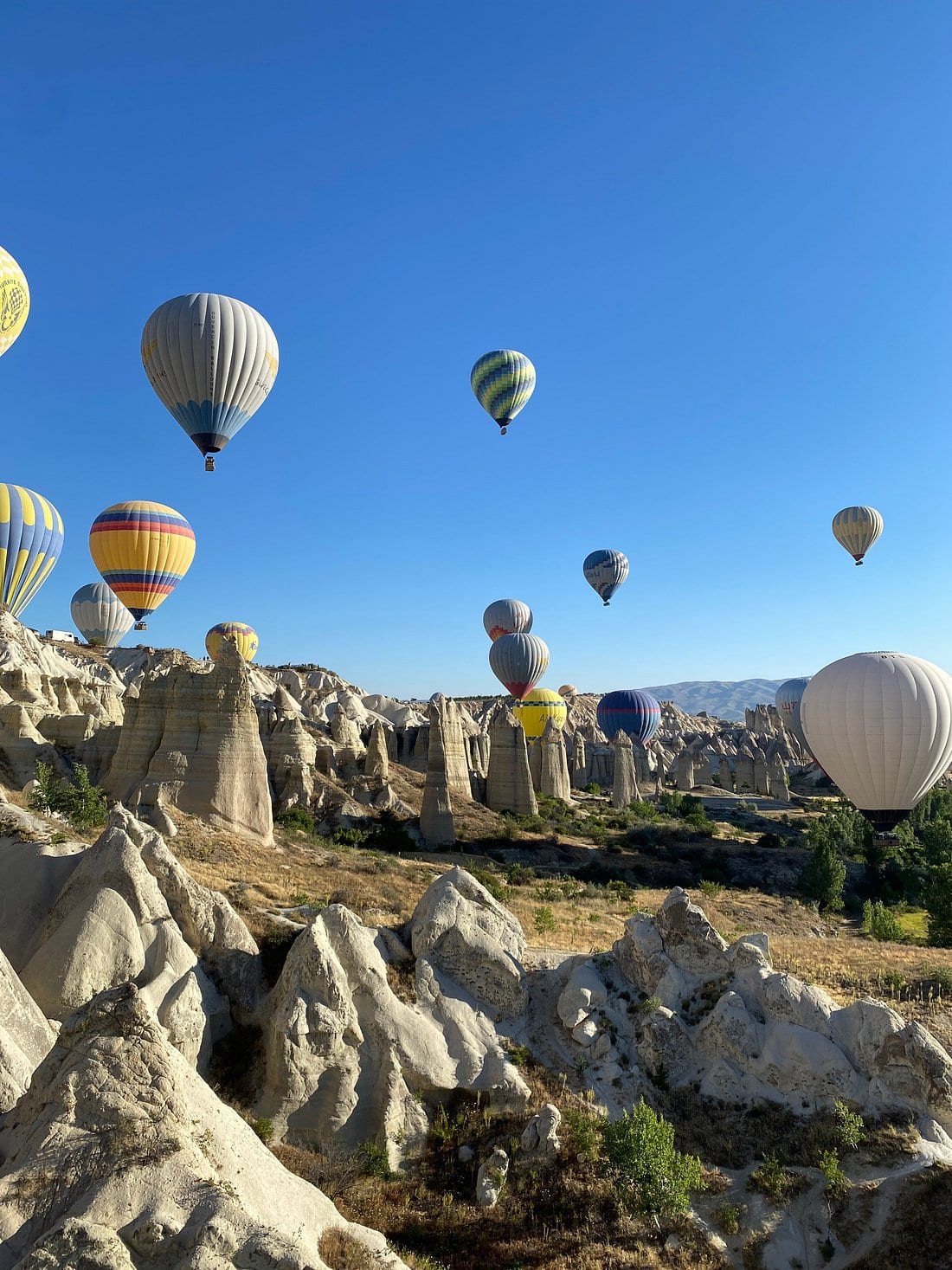 Mongolfiere colorate che fluttuano sopra i coni di roccia della Valle dell’Amore in Cappadocia in una mattina limpida