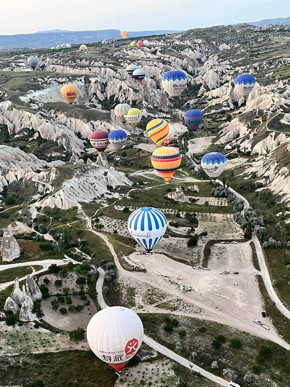 Dozens of hot air balloons rising over the Göreme valley at dawn, illustrating how demand affects 2026 Cappadocia balloon prices